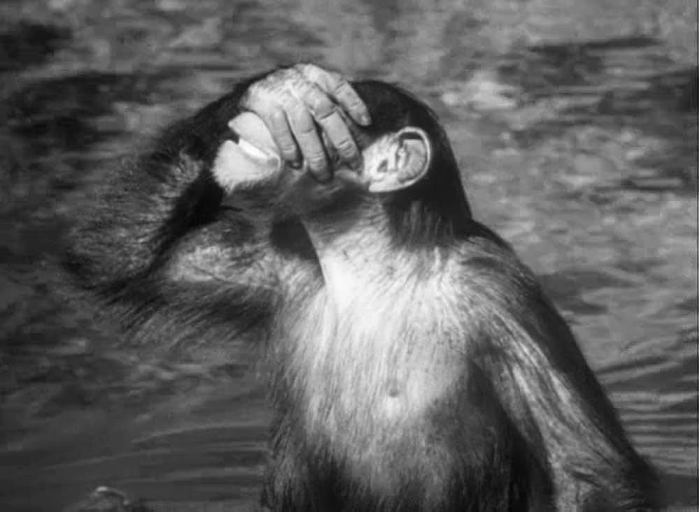 ターザンの怒りの画像