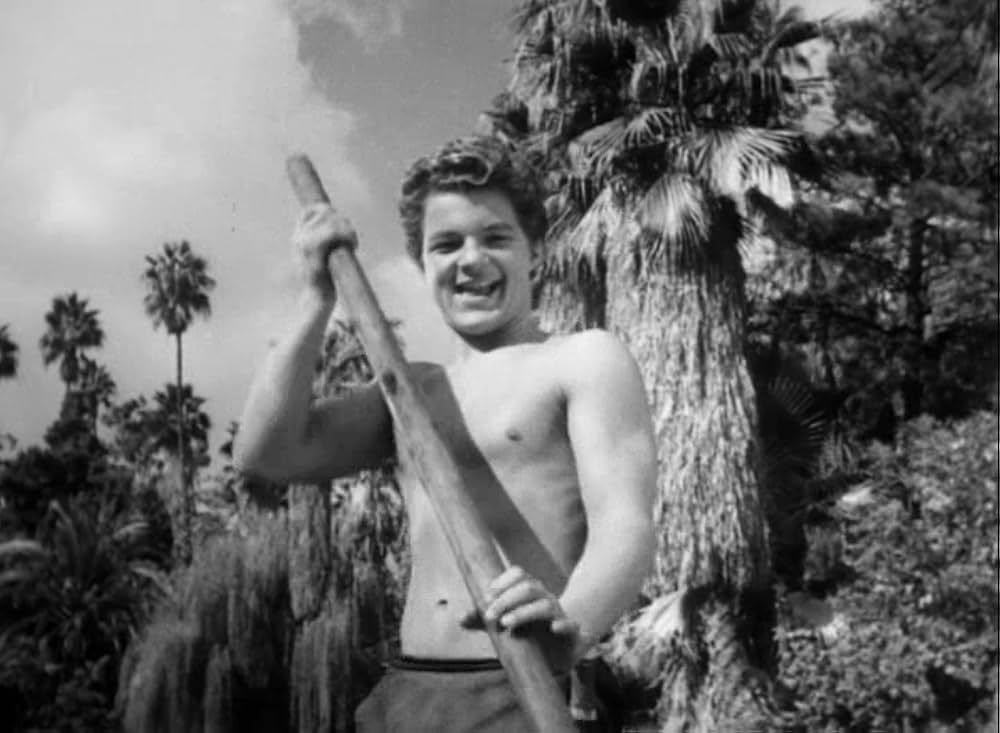 ターザンの怒りの画像