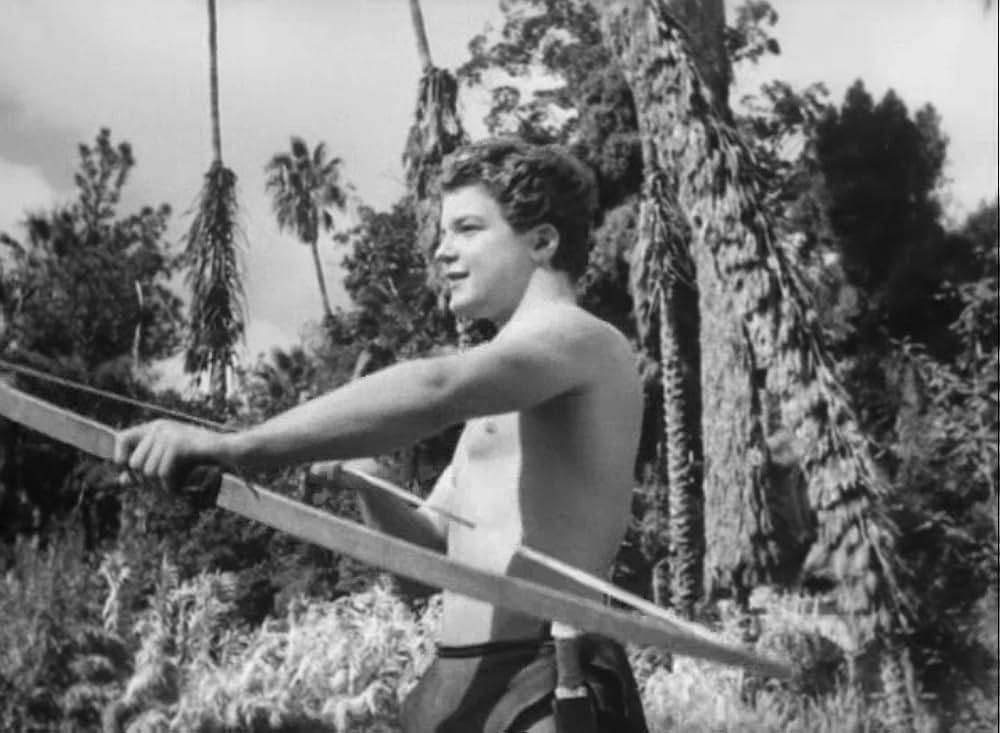 ターザンの怒りの画像