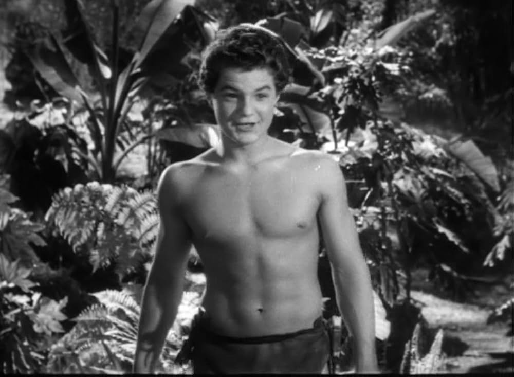 ターザンの怒りの画像