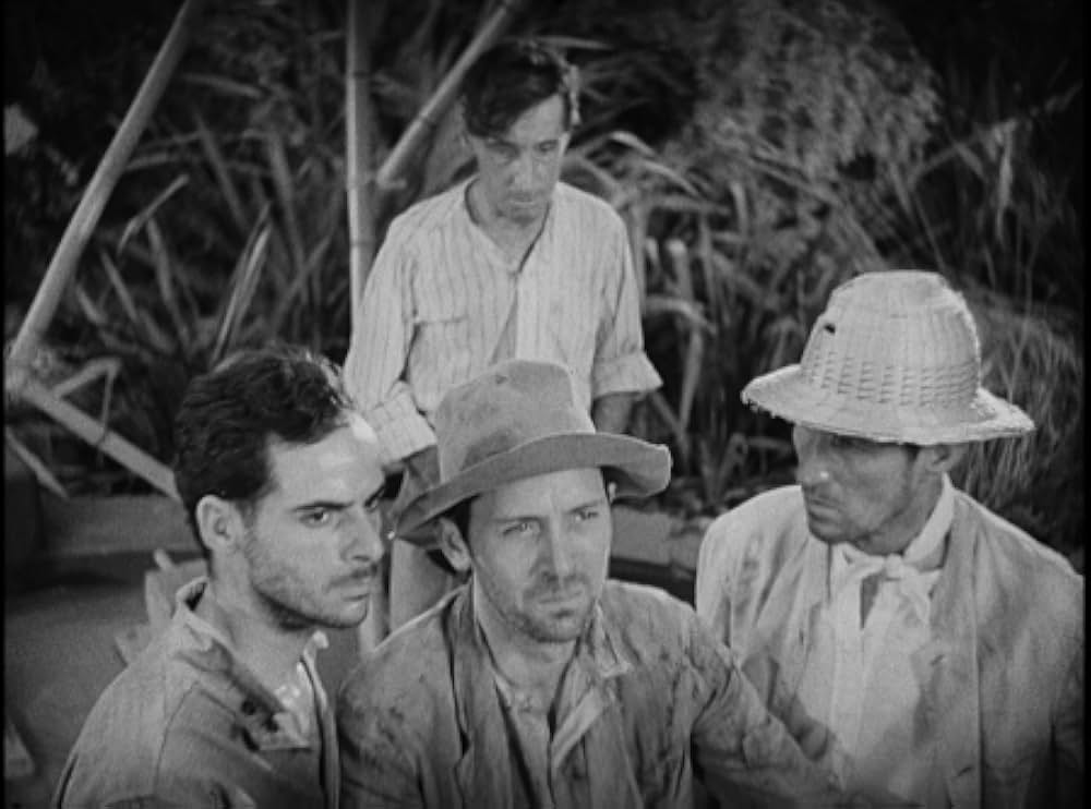 白い肉体の画像