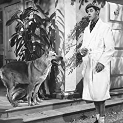 底抜けやぶれかぶれの画像