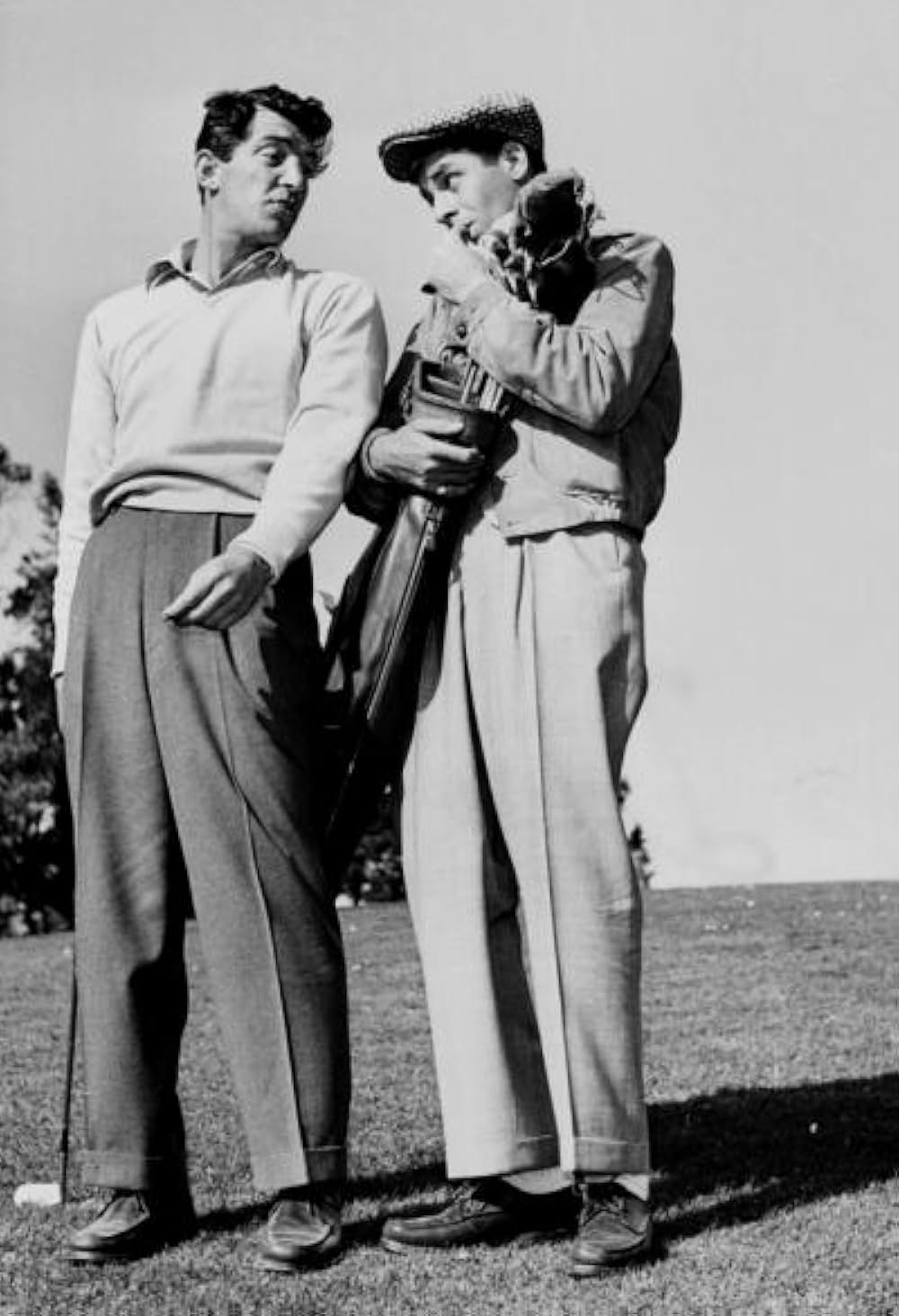 底抜けやぶれかぶれの画像