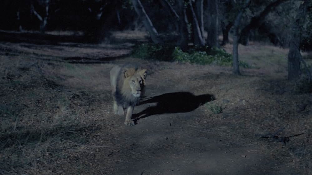 Tammy and the T-Rex（原題）の画像