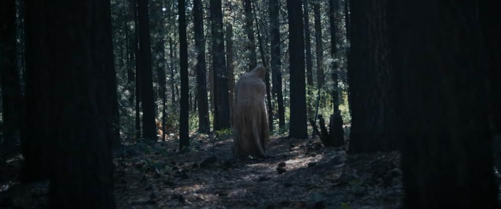The Hidebehind（原題）の画像