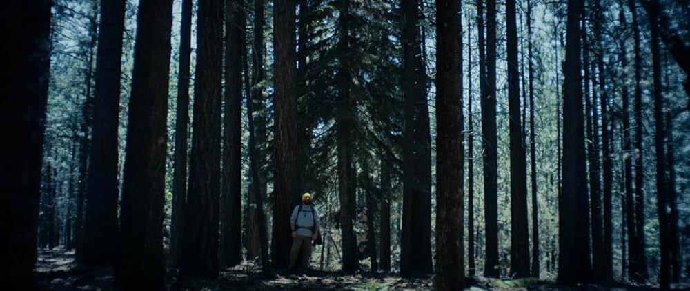 The Hidebehind（原題）の画像