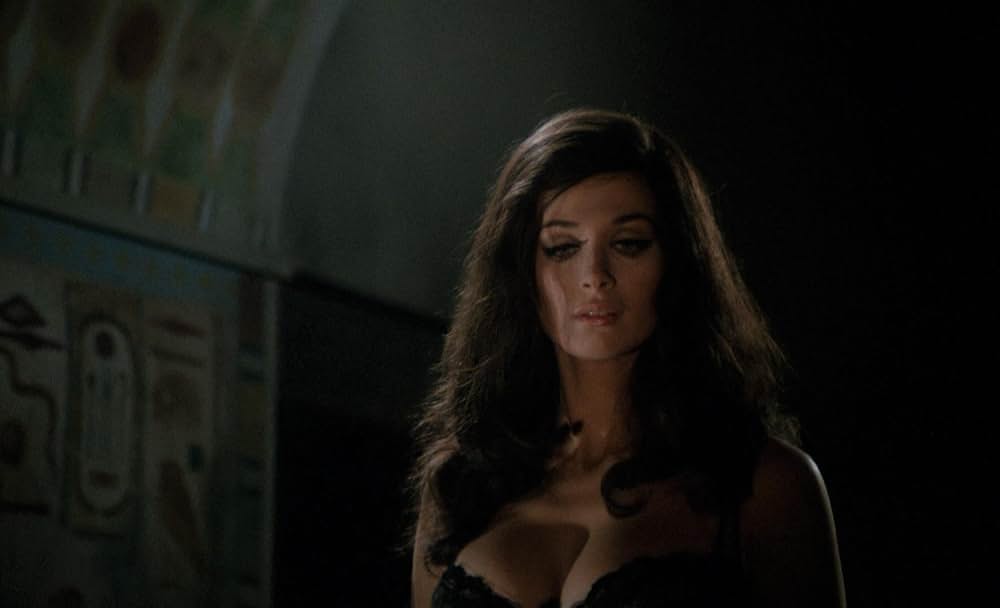 王女テラの棺の画像