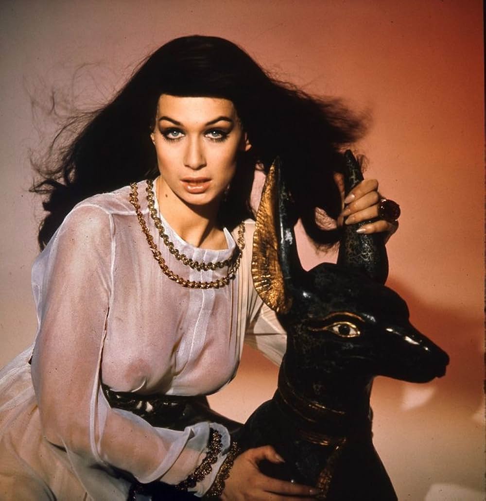 王女テラの棺の画像