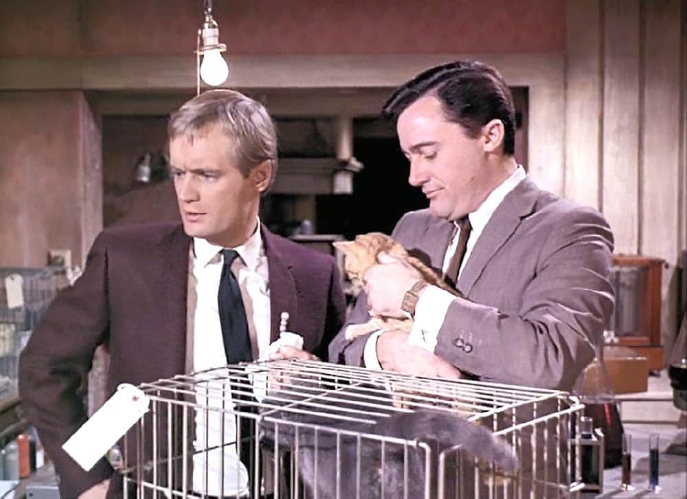 0011ナポレオン・ソロ／消えた相棒の画像