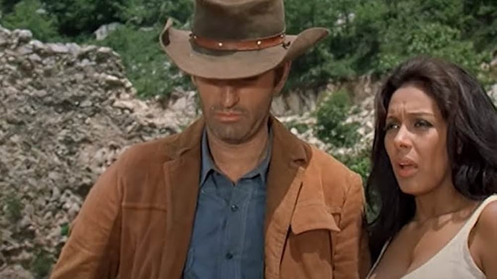 荒野の復讐鬼の画像