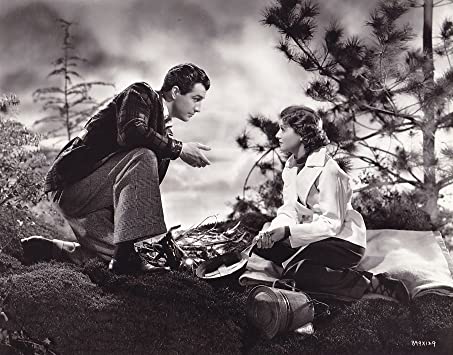 「小都会の女」ロバート・テイラー & ジャネット・ゲイナーの画像