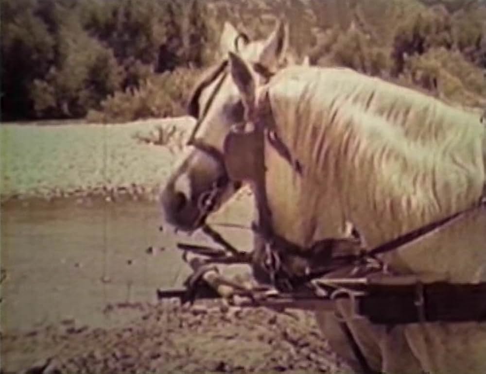赤い砂の決闘の画像