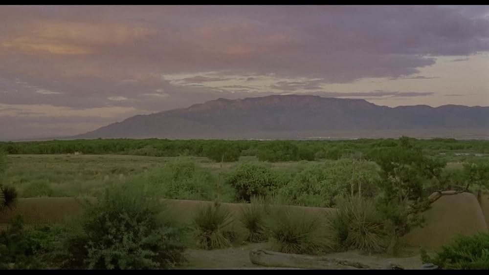 ザ・テイク／わいろの画像