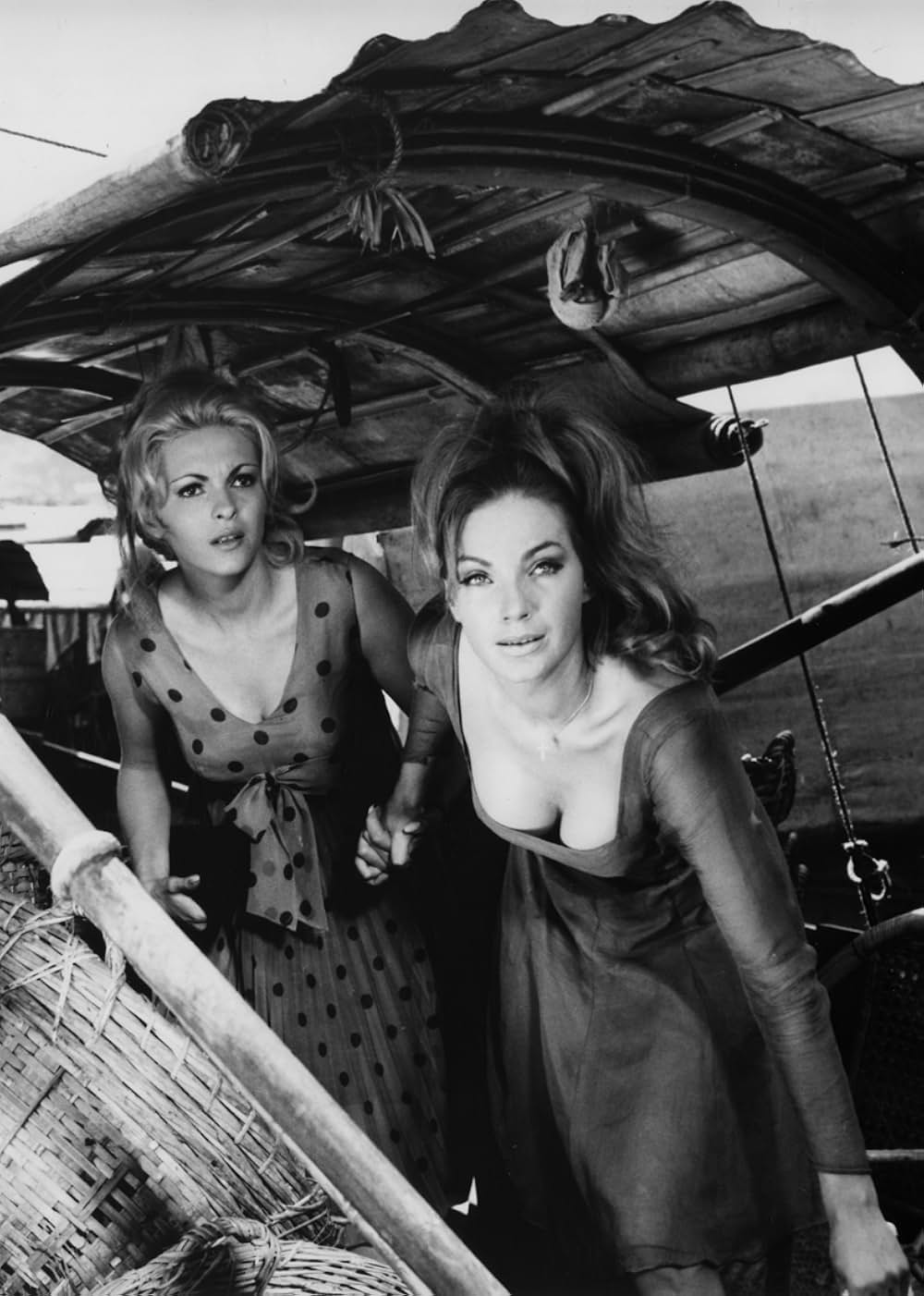 ドラゴン捜査網の画像