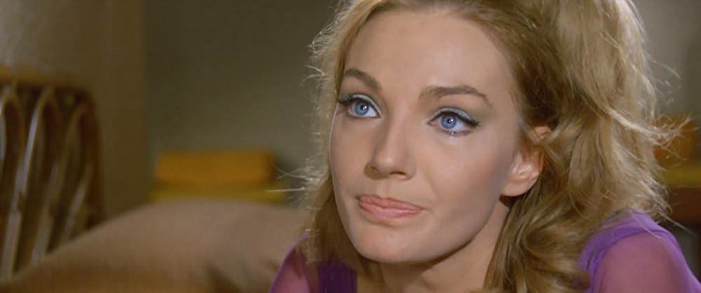 ドラゴン捜査網の画像