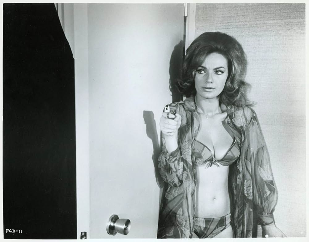 ドラゴン捜査網の画像