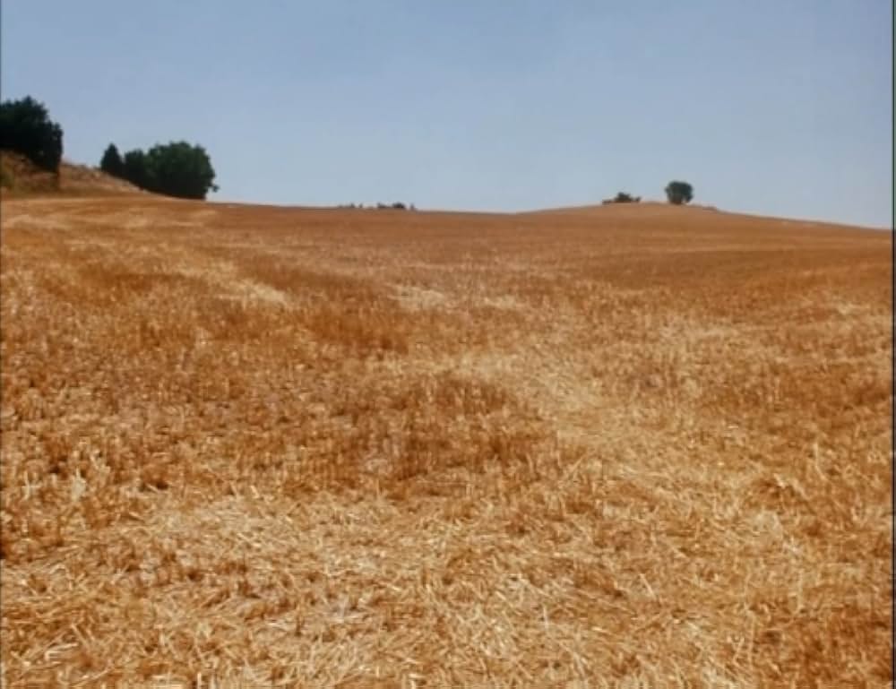 Al primo soffio di vento（原題）の画像