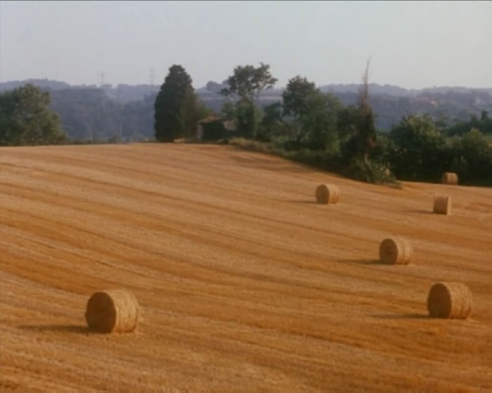 Al primo soffio di vento（原題）の画像