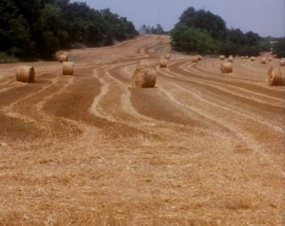 Al primo soffio di vento（原題）の画像