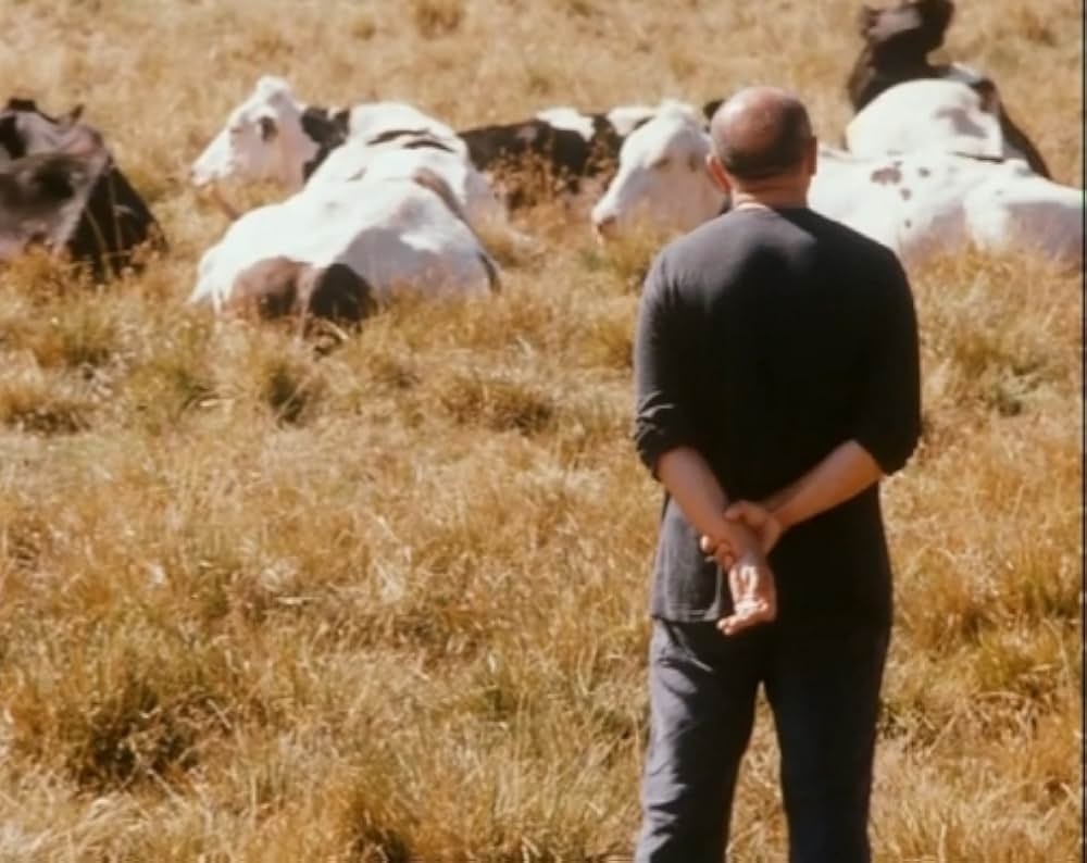 Al primo soffio di vento（原題）の画像