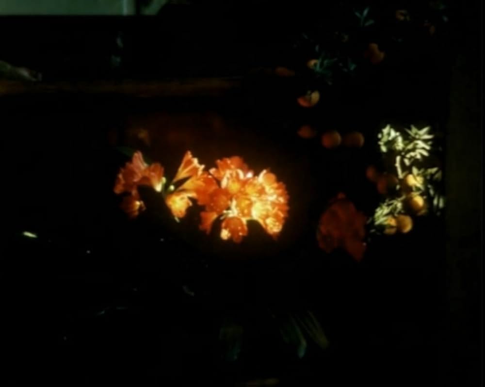 Al primo soffio di vento（原題）の画像