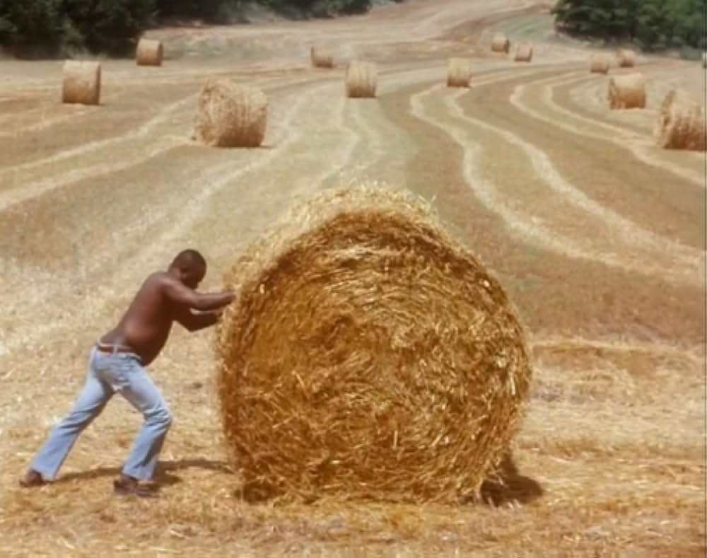 Al primo soffio di vento（原題）の画像