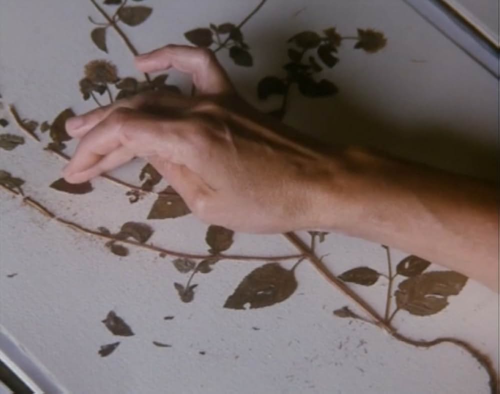 Al primo soffio di vento（原題）の画像