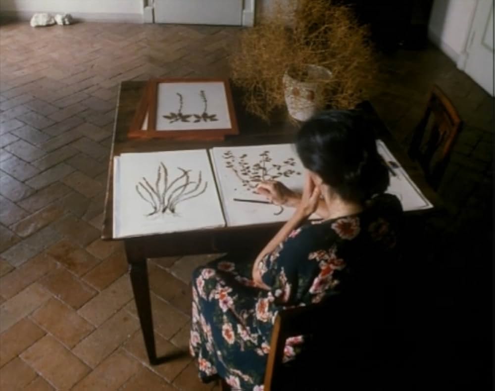 Al primo soffio di vento（原題）の画像