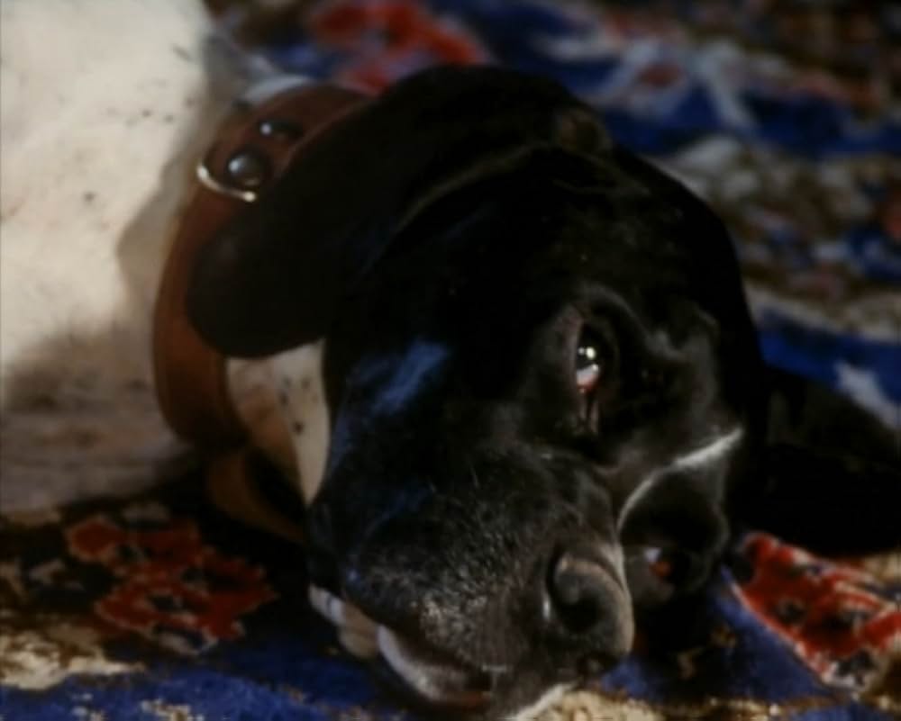 Al primo soffio di vento（原題）の画像