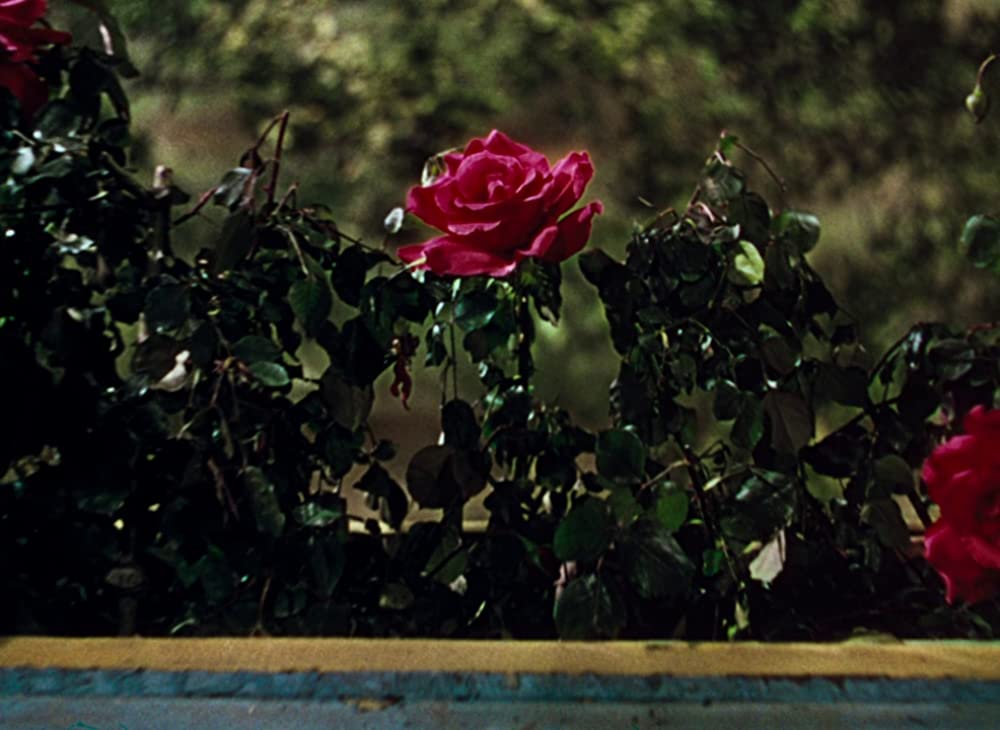 カラミティ・ジェーンの画像