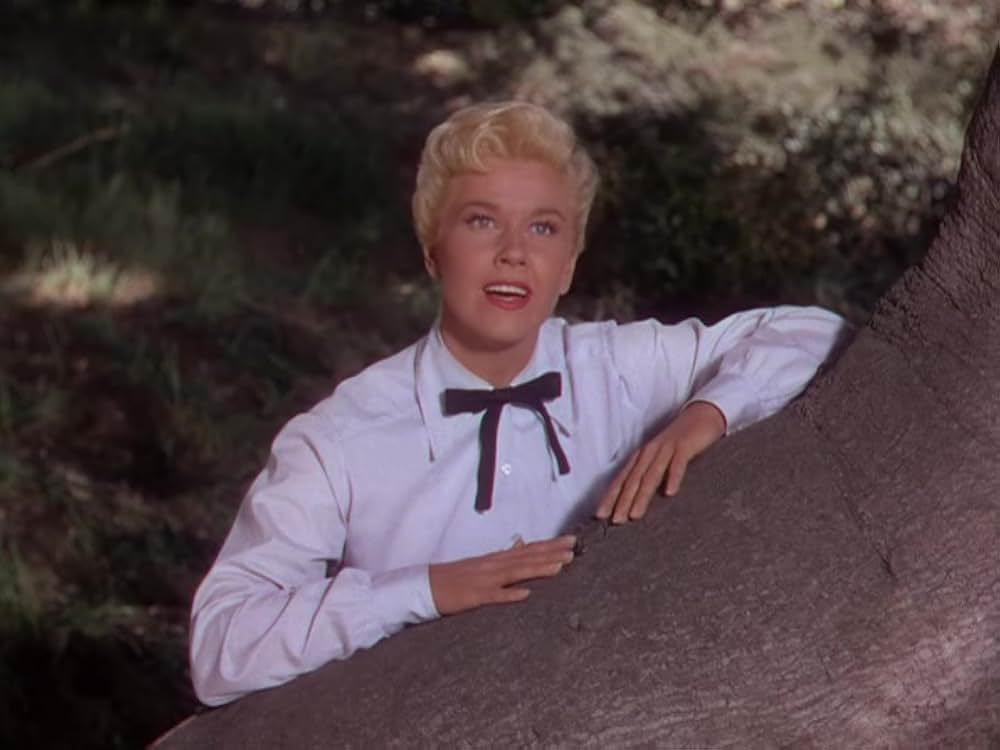 カラミティ・ジェーンの画像