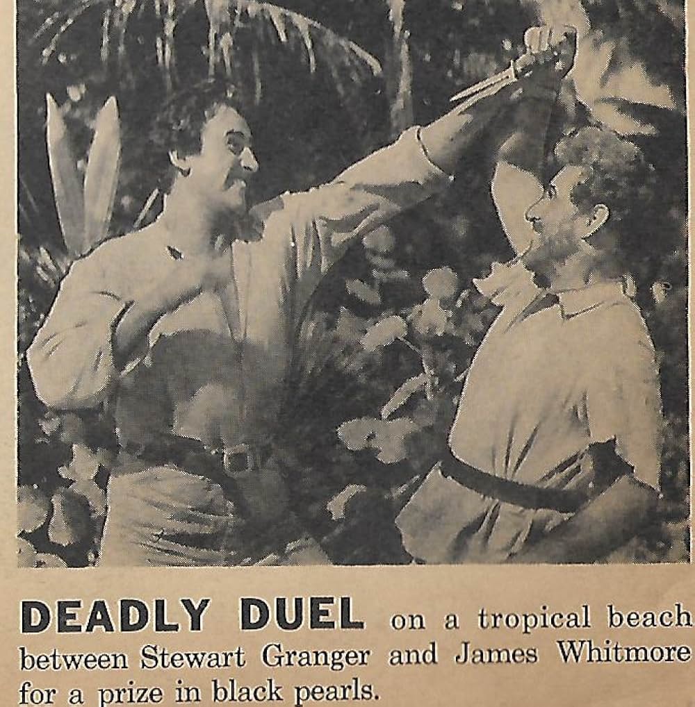 兄弟はみな勇敢だったの画像