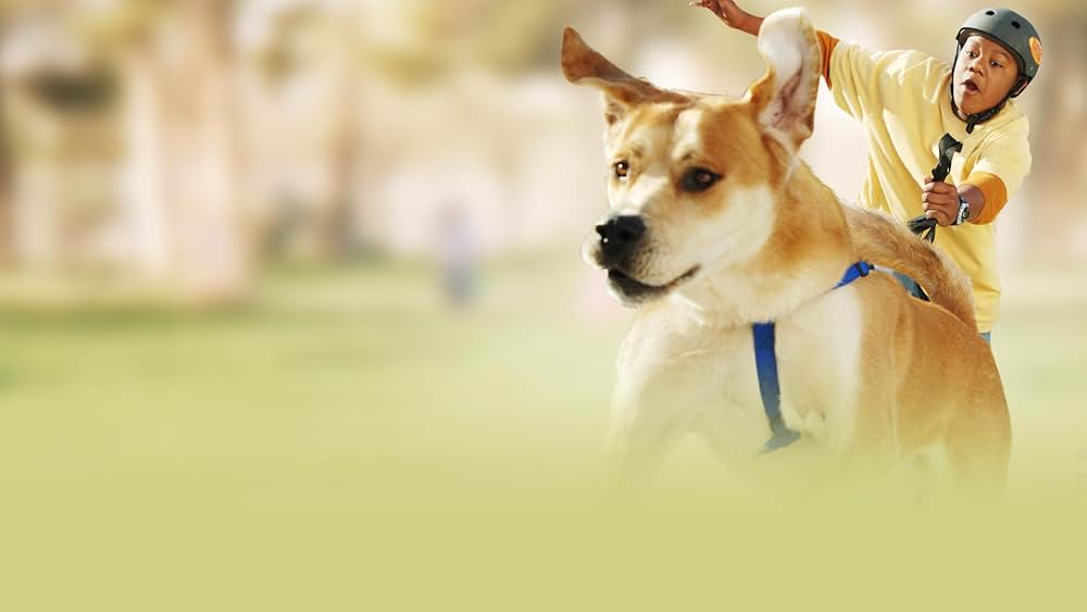 ライフ・イズ・ワン！ダフルの画像