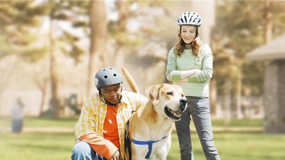 ライフ・イズ・ワン！ダフルの画像