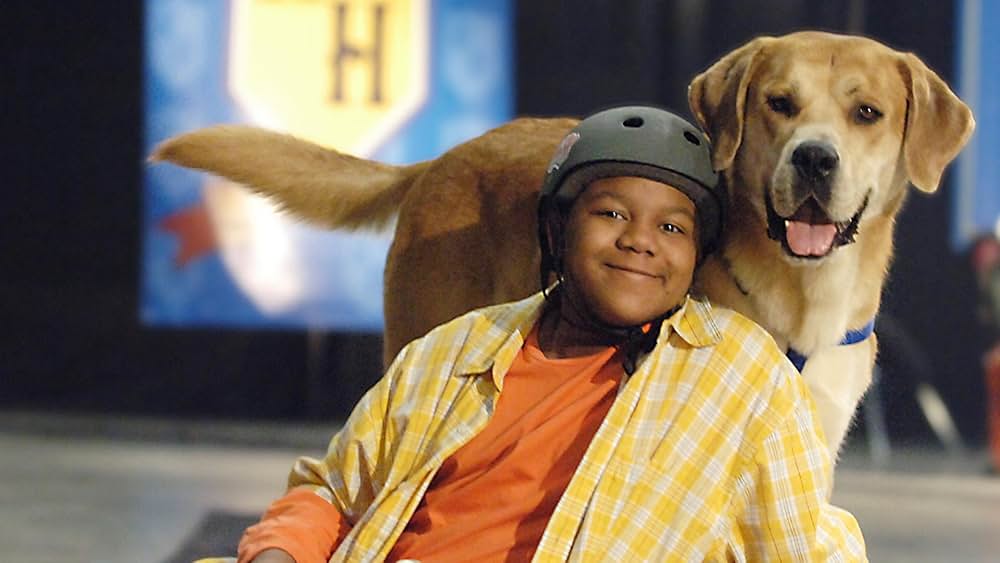 ライフ・イズ・ワン！ダフルの画像