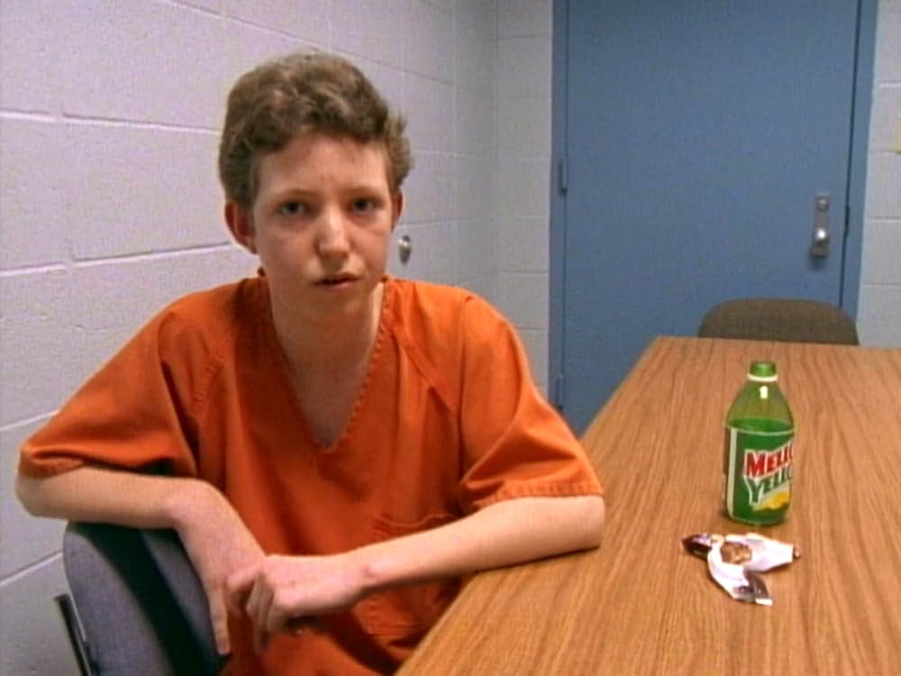 パラダイス・ロスト：ザ・チャイルド・マーダーズ・アット・ロビン・フッド・ヒルズ（原題）の画像