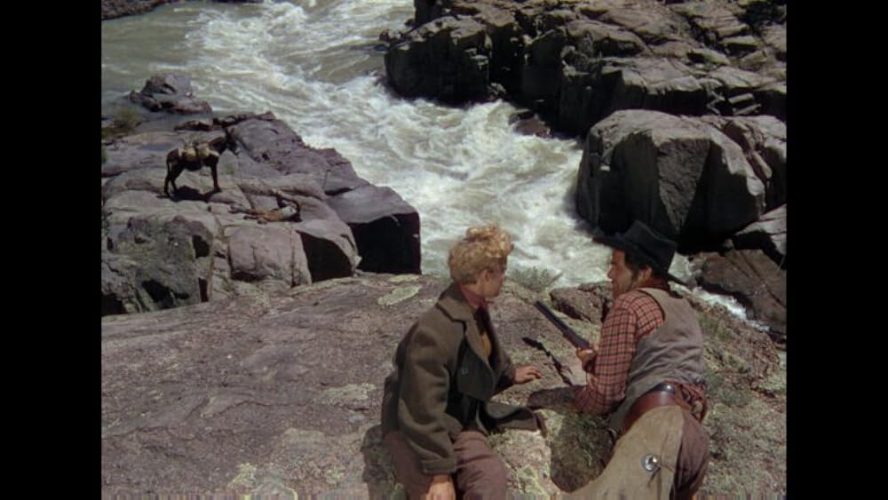 裸の拍車の画像