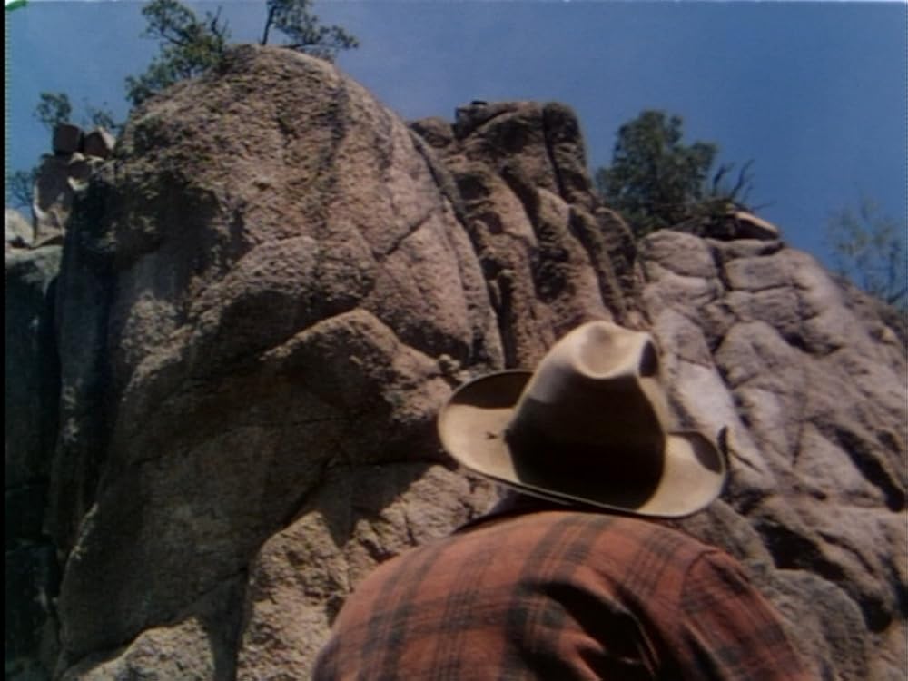 裸の拍車の画像