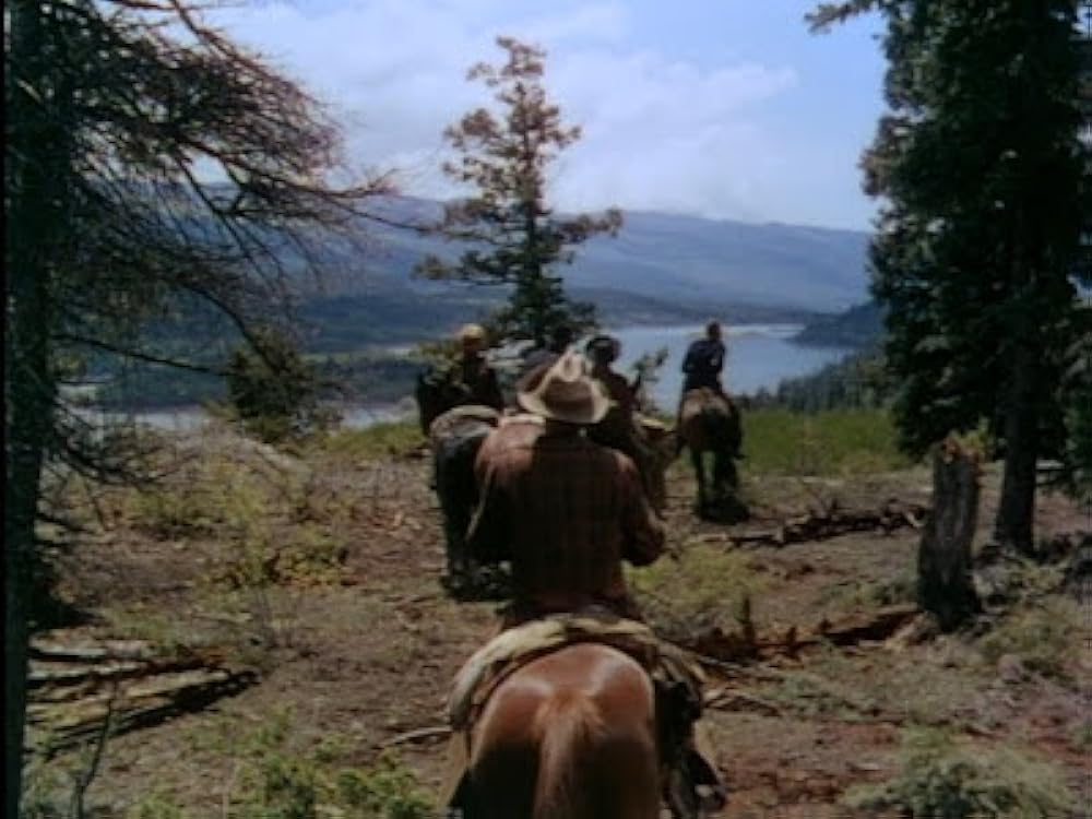 裸の拍車の画像