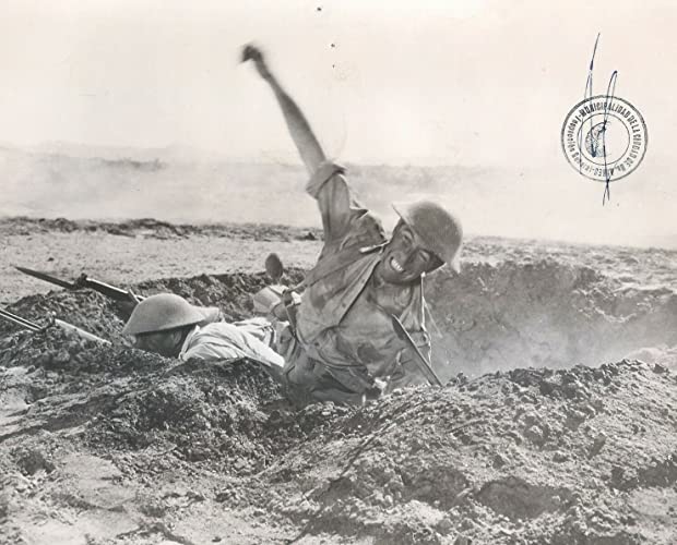 ホンドーの画像