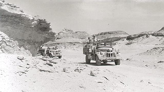 砂漠の鼠の画像