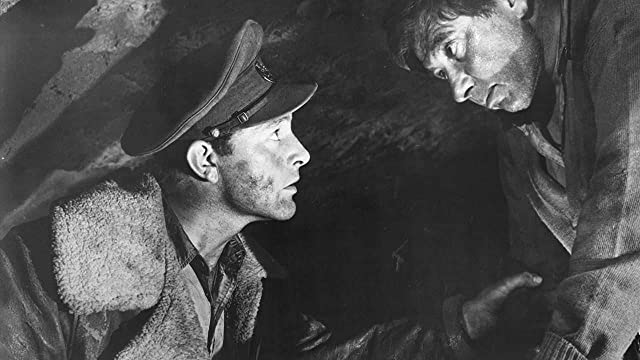 砂漠の鼠の画像