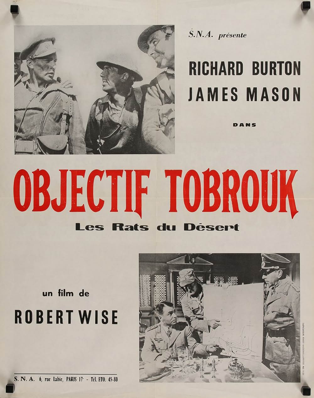 砂漠の鼠の画像