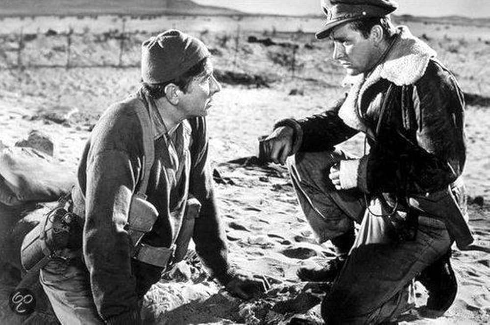 砂漠の鼠の画像