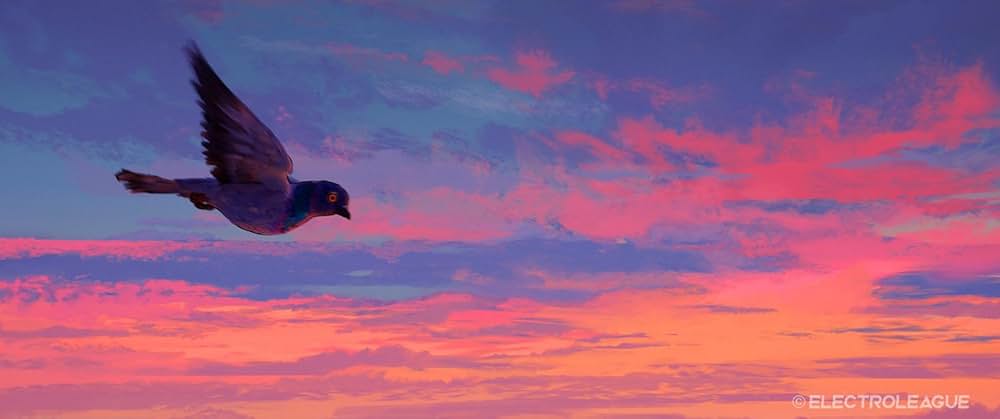 War Is Over! Inspired by the Music of John & Yoko（原題）の画像