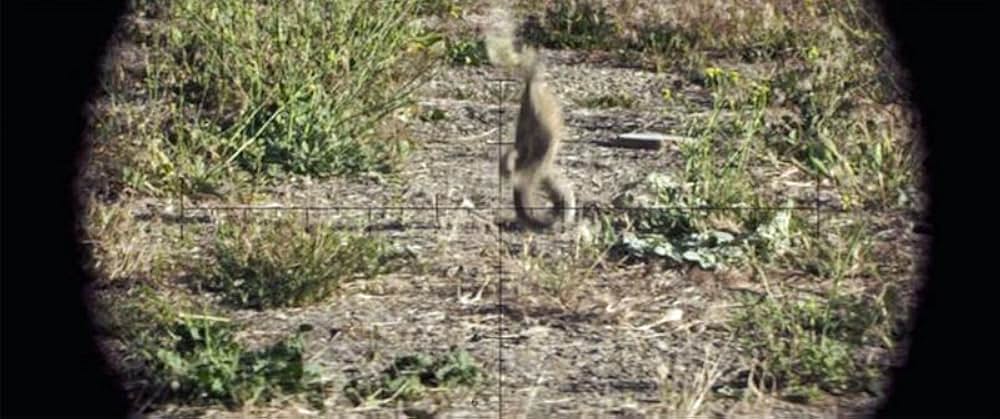 アメリカン・スナイパーの画像