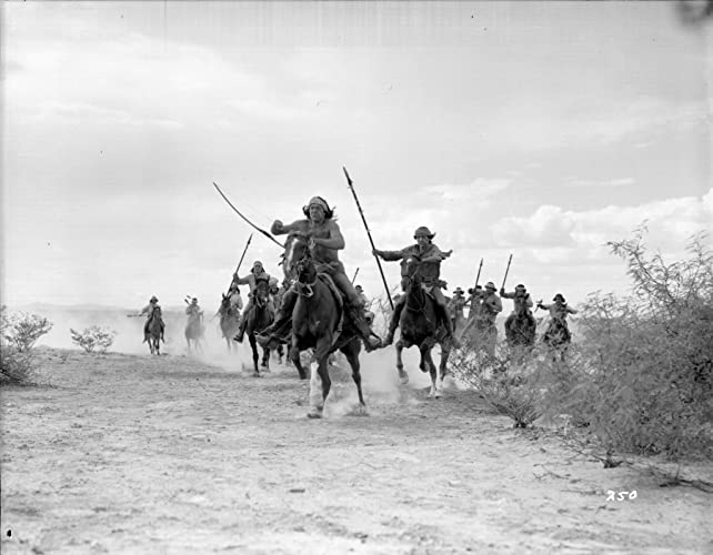 ホンドーの画像