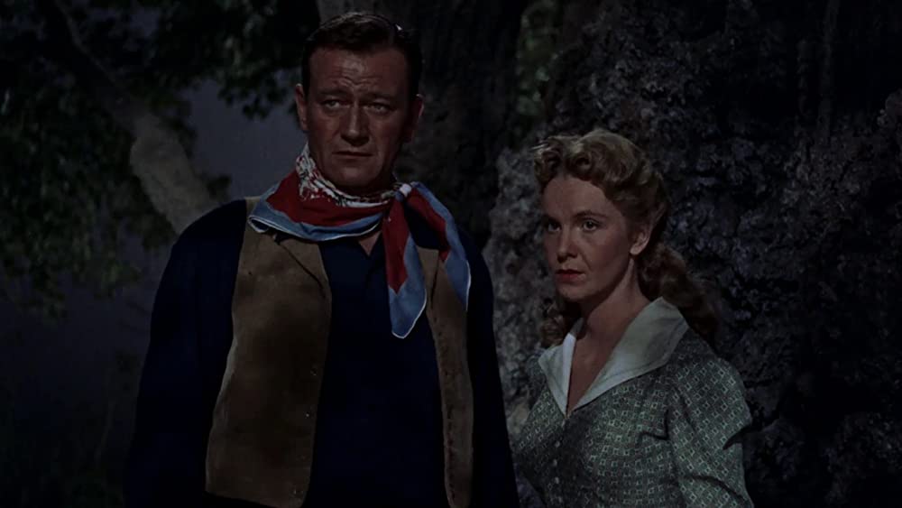 ホンドーの画像