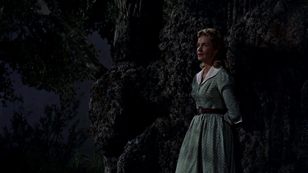 ホンドーの画像