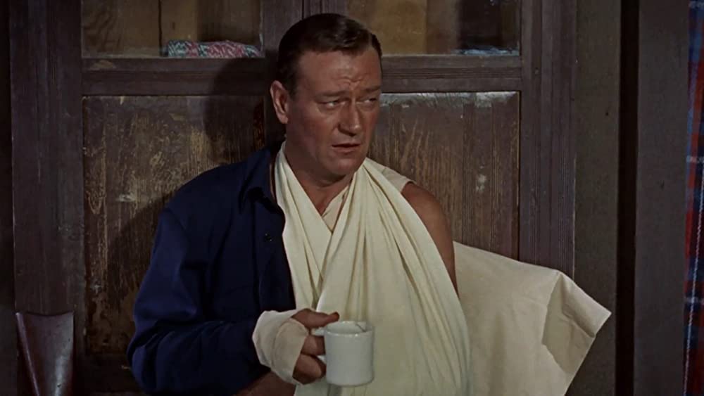 ホンドーの画像